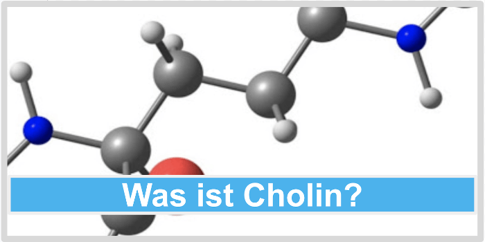 Cholin是什么