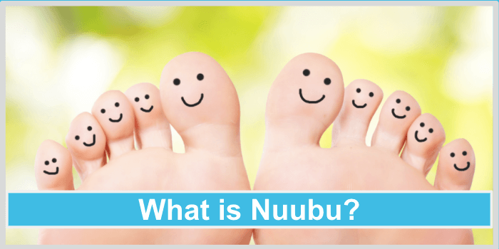 什么是Nuubu