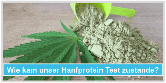 Hanfprotein Test Vergleich